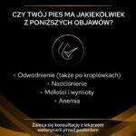 PRO PLAN Veterinary Diets NF Karma Nerkowa Mus 400G - obrazek 3