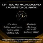 PURINA NF Renal Function Karma Mokra Kot - obrazek 3