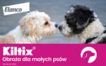 Kiltix Obroża Dla Psa na Kleszcze i Pchły 38cm - obrazek 8