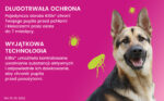 Kiltix Obroża Na Kleszcze i Pchły 70cm - obrazek 10