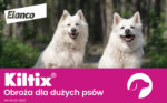 Kiltix Obroża Na Kleszcze i Pchły 70cm - obrazek 9