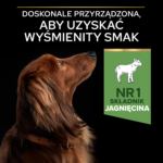 Purina Pro Plan Small Mini OptiDigest Jagnięcina - obrazek 5