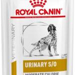 Royal Canin Urinary S/O Karma Mokra