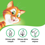 Kitekat Sucha Karma dla Kotów Kurczak Warzywa 12kg - obrazek 5