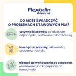 Vetoquinol Flexadin Advanced Wsparcie Stawów - obrazek 5