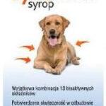 Synomax – Wsparcie Stawów Psa 275ml