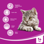 Whiskas Karma Sucha dla Kotów Wołowina 14kg - obrazek 4