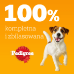 Pedigree Karma Mokra Mix Smaków 4x100g - obrazek 7