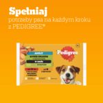 Pedigree Karma Mokra Mix Smaków 4x100g - obrazek 9