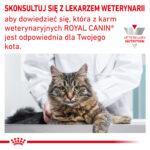Royal Canin Renal Hypoallergenic karma dla kota - obrazek 8
