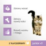 Perfect Fit Junior Sucha Karma Kurczak 750g - obrazek 2