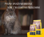 Josera Catelux Karma Przeciw Kłaczkom 10kg - obrazek 9