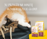Josera Minette Karma dla Kociąt 2kg - obrazek 9