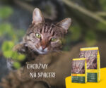 Josera NatureCat Bezzbożowa Karma dla Kotów 2kg - obrazek 9