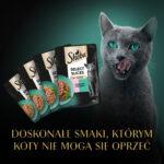 Sheba Selection in Sauce Smaki Rybne 4x85g - obrazek 9
