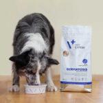 VetExpert Dermatosis Łosoś Ziemniaki 2kg - obrazek 3