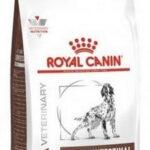 ROYAL CANIN Gastrointestinal Moderate Calorie 15 kg