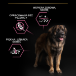 Purina Pro Plan Large Robust Łosoś 14kg - obrazek 2