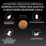 Purina Pro Plan Large Robust Łosoś 14kg - obrazek 3