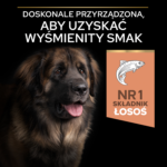 Purina Pro Plan Large Robust Łosoś 14kg - obrazek 4