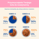 Purina Cat Chow Kitten Jagnięcina Cukinia 85g - obrazek 8