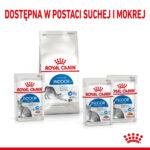 ROYAL CANIN Indoor Sterilised w Galaretce - obrazek 3