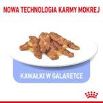 ROYAL CANIN Indoor Sterilised w Galaretce - obrazek 4