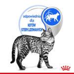 ROYAL CANIN Indoor Sterilised w Galaretce - obrazek 7