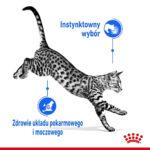 ROYAL CANIN Indoor Sterilised w Galaretce - obrazek 8