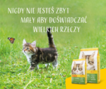 Josera Karma Bezzbożowa dla Kociąt 400g - obrazek 9