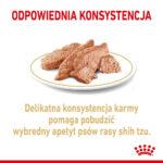 Royal Canin Shih Tzu Adult mokra karma - obrazek 3