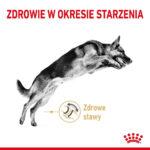 Karma Royal Canin Owczarek Niemiecki 5+ 12kg - obrazek 3