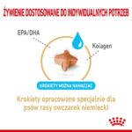 Karma Royal Canin Owczarek Niemiecki 5+ 12kg - obrazek 4