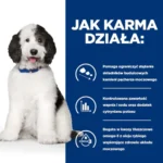 Hill's Prescription Diet c/d Urinary 12kg - obrazek 5