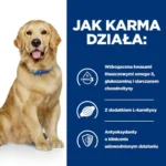 Hill's Prescription Diet J/D Wsparcie Stawów 12kg - obrazek 5