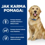Hill's Prescription Diet J/D Wsparcie Stawów 12kg - obrazek 6