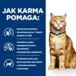 Hill's c/d Multicare Karma dla Kota - obrazek 4
