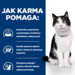 Hill's i/d Karma Mokra dla Kota - obrazek 6