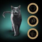 Sheba Classics Pasztet Drobiowy dla Kota 85g - obrazek 2