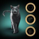 Sheba Classics Karma Łosoś 85g - obrazek 14