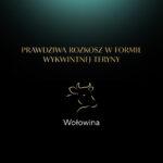 Sheba Classics Pasztet z Wołowiną dla Kota - obrazek 15