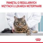 Royal Canin Appetite Control Sucha Karma 400g - obrazek 4