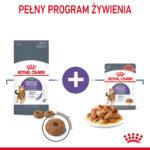 Royal Canin Appetite Control Sucha Karma 400g - obrazek 8
