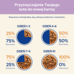 Purina Cat Chow Sensitive Łosoś Cukinia 85g - obrazek 9