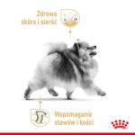Royal Canin Pomeranian Adult 3kg - obrazek 6