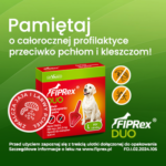 Fiprex Duo L dla Psów 20-40 kg - obrazek 3