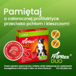 Fiprex Duo M Krople dla Psów 10-20kg - obrazek 3