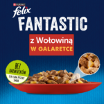 Felix Fantastic Wołowina w Galaretce - obrazek 2