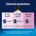 Felix Junior Kurczak w Galaretce 85g - obrazek 8