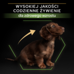 Purina Pro Plan Puppy Small & Mini Kurczak Ryż 7kg - obrazek 4